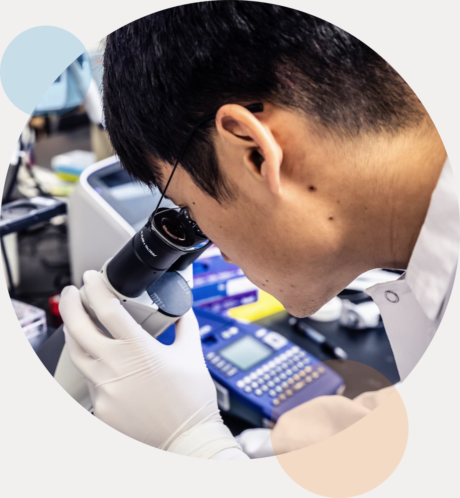 turning-stem-cells-into-human-eggs