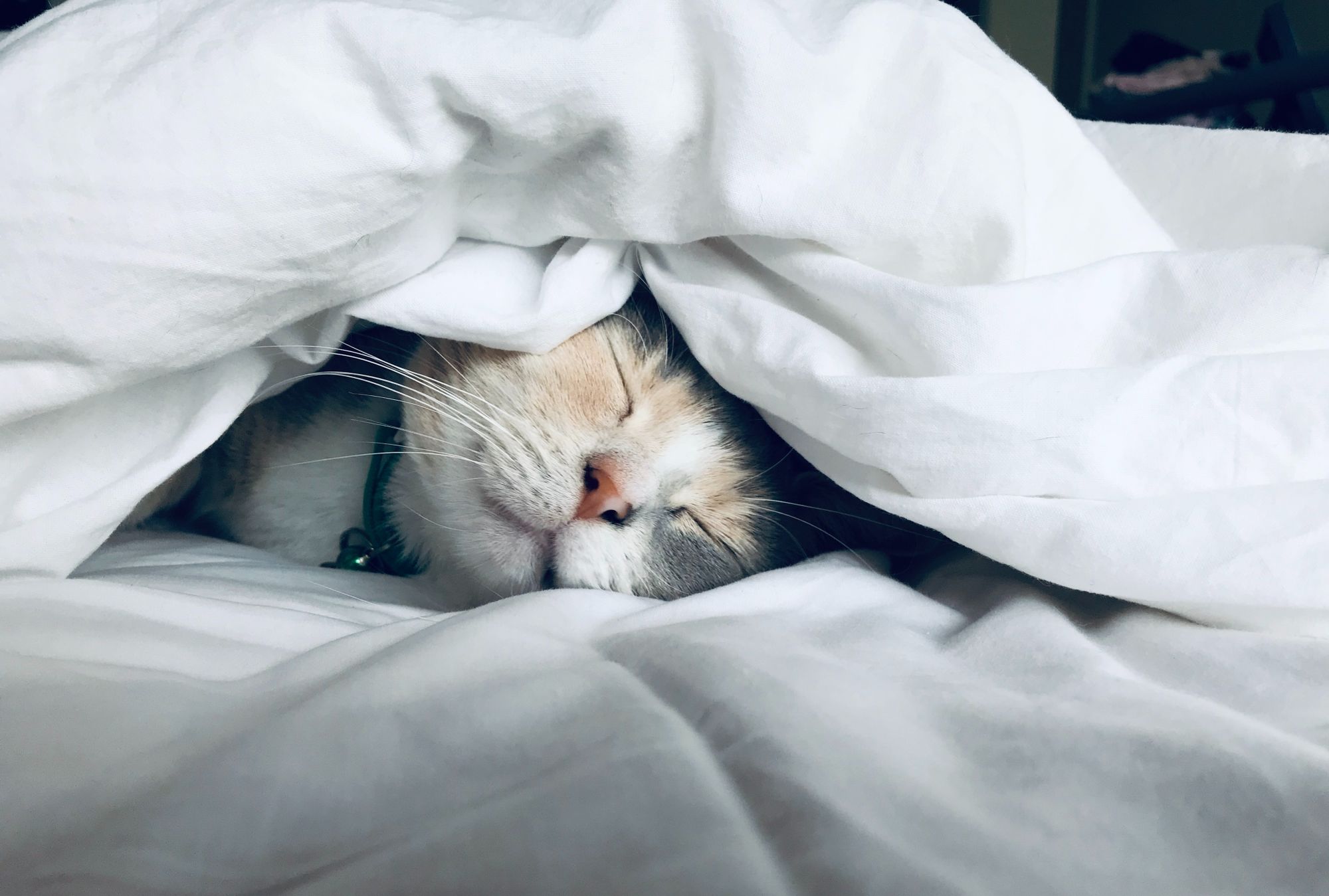 an-introverts-guide-to-increasing-energy
