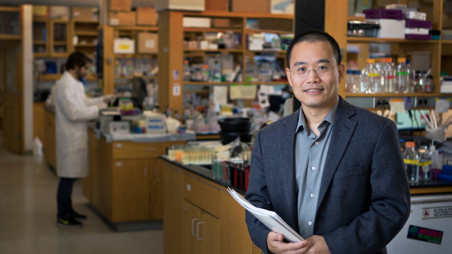 cancer-therapy-from-princeton-holds-potential-to-switch-off-major-cancer-types