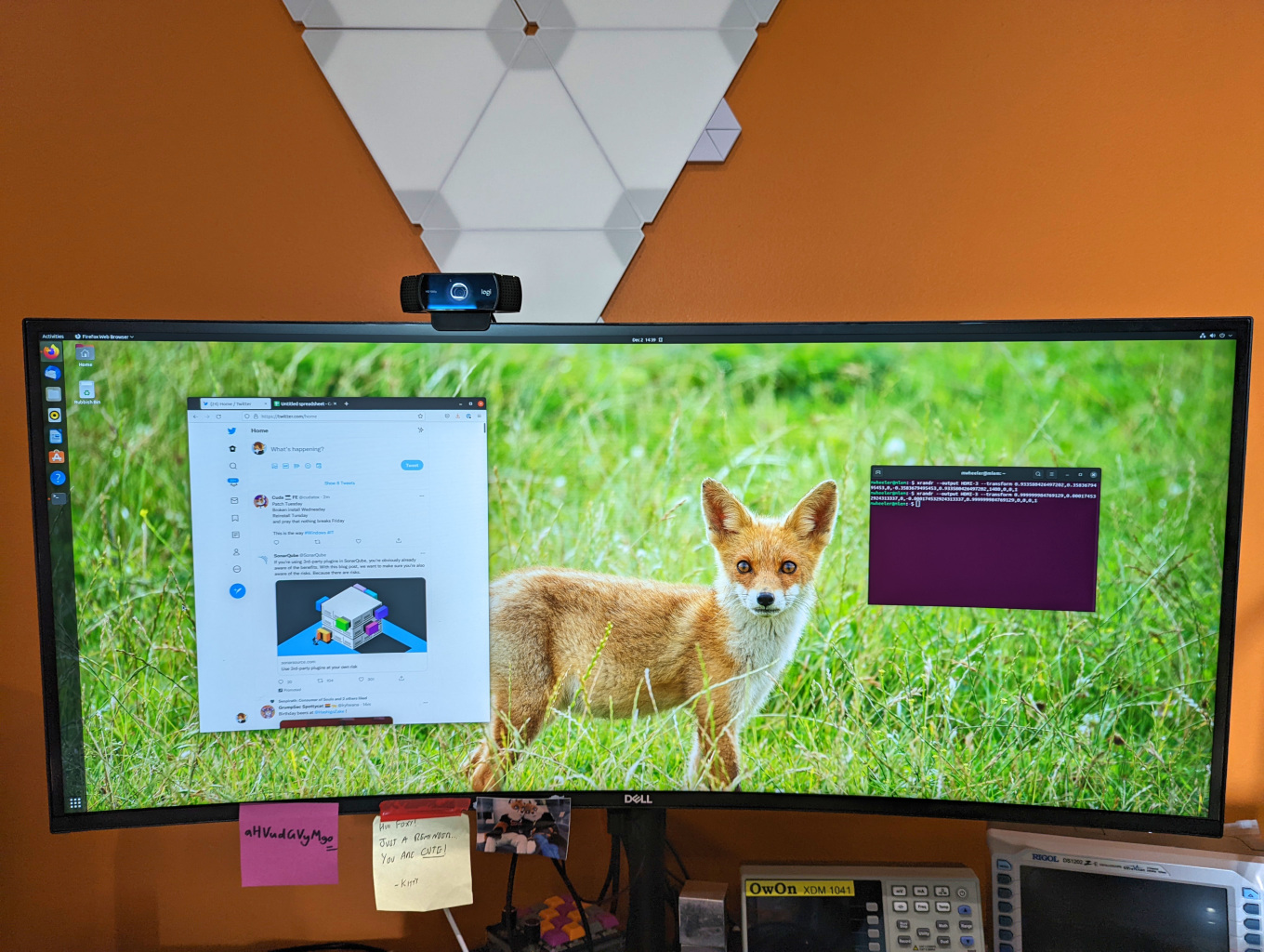 ideal-monitor-rotation-for-programmers