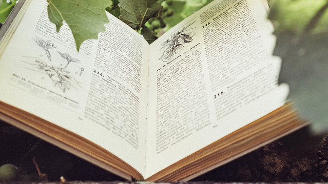 github-–-hackerkid/mind-expanding-books:-books-everyone-should-read