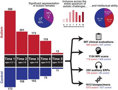 the-autism-phenome-project:-toward-identifying-meaningful-subgroups-of-autism