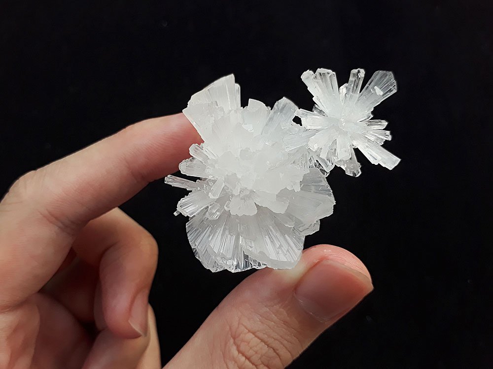 how-to-grow-monosodium-glutamate-(msg)-crystals