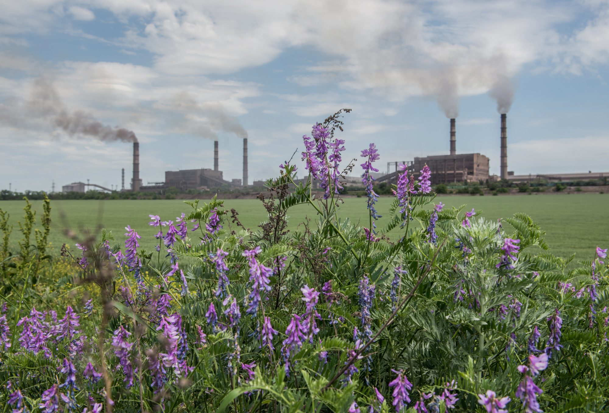 scientists-find-there-are-70%-fewer-pollinators,-due-to-air-pollution