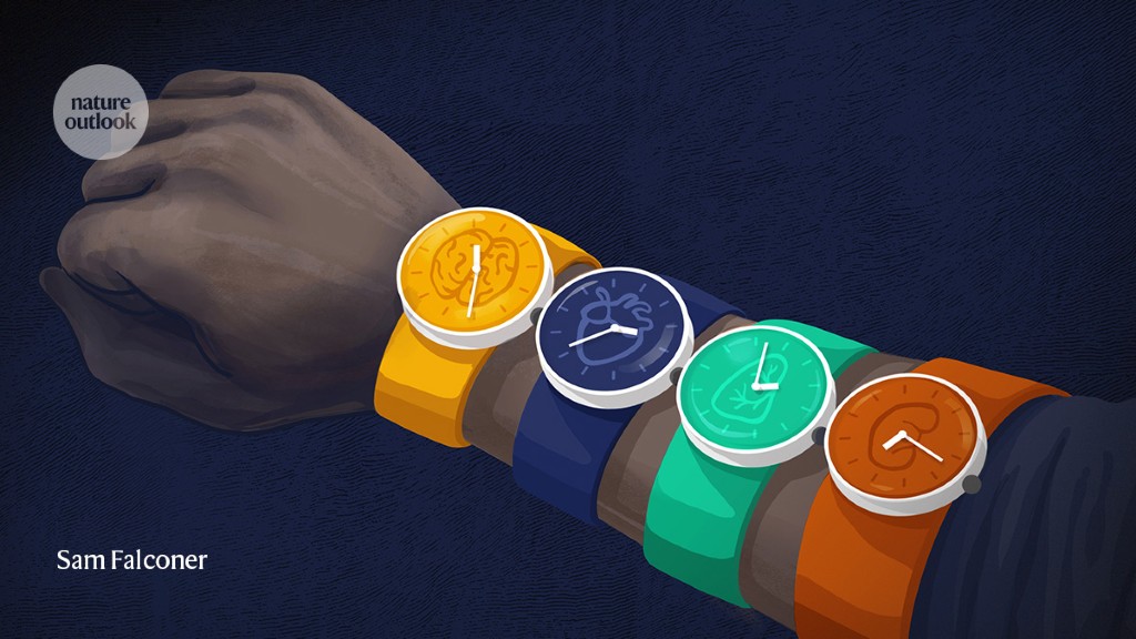 turning-back-time-with-epigenetic-clocks