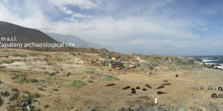 a-tsunami-wiped-out-ancient-communities-in-the-atacama-desert-3,800-years-ago