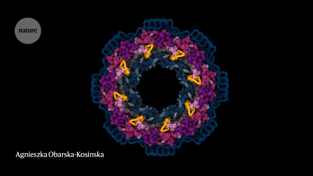 what’s-next-for-alphafold-and-the-ai-protein-folding-revolution