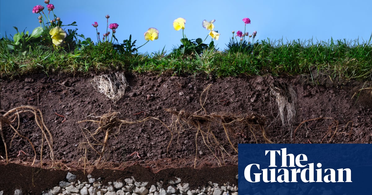 soil:-the-secret-world-beneath-our-feet-is-mind-blowing