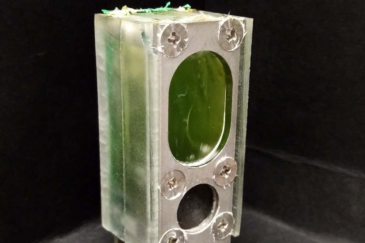 computer-powered-by-colony-of-blue-green-algae-has-run-for-six-months