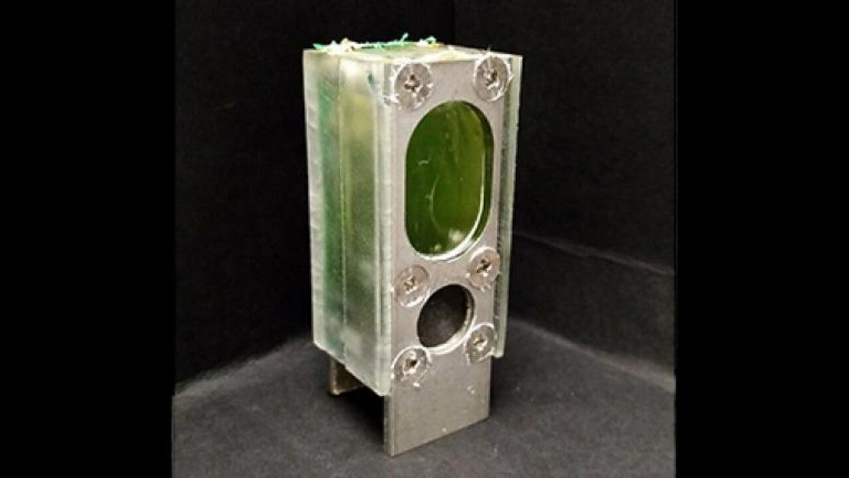 researchers-power-an-arm-processor-for-a-year-using-algae