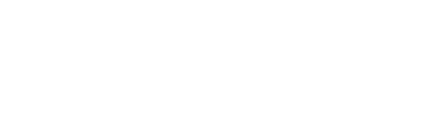 tool-to-demo-the-danish-unemployment-algorithm