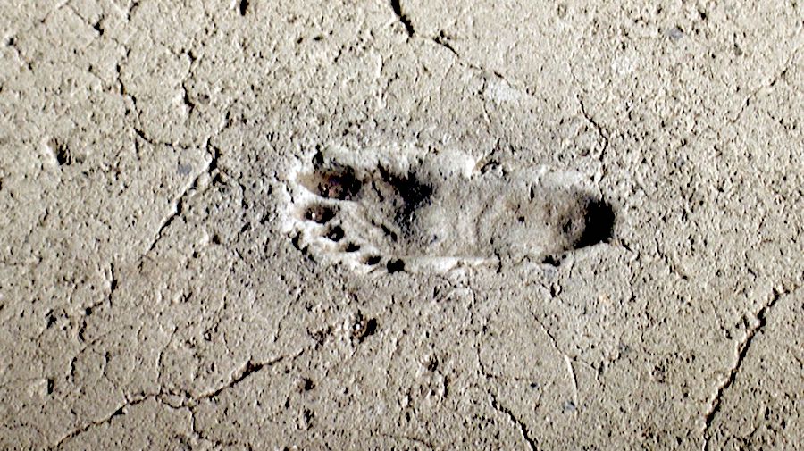 how-did-people-get-to-britain-950k-years-ago?