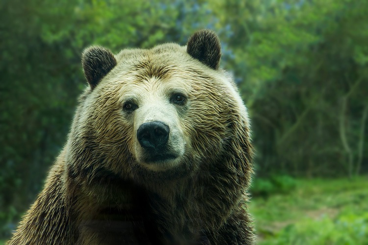 three-arrows-capital-reportedly-facing-insolvency,-crypto-bubble-is-bursting