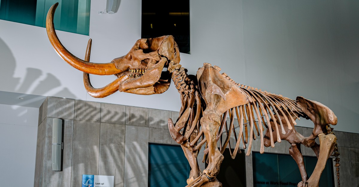 a-mystery-that-took-13,200-years-to-crack