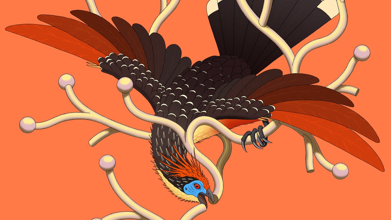 a-bird-that’s-breaking-the-tree-of-life