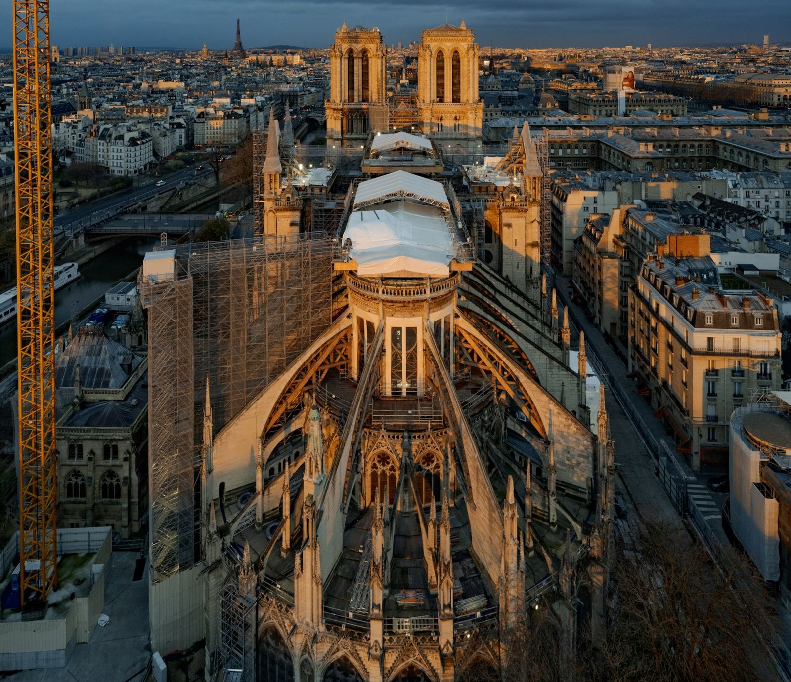 notre-dame-rises-again