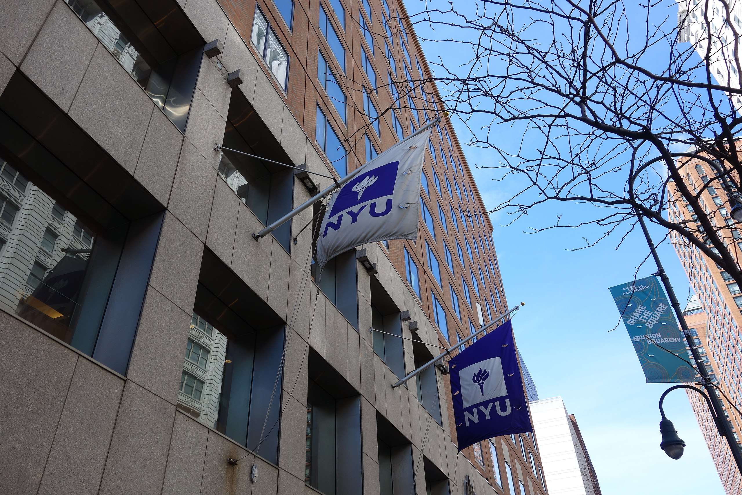 nyu-chemistry-professor-fired-after-students-said-his-class-was-too-hard