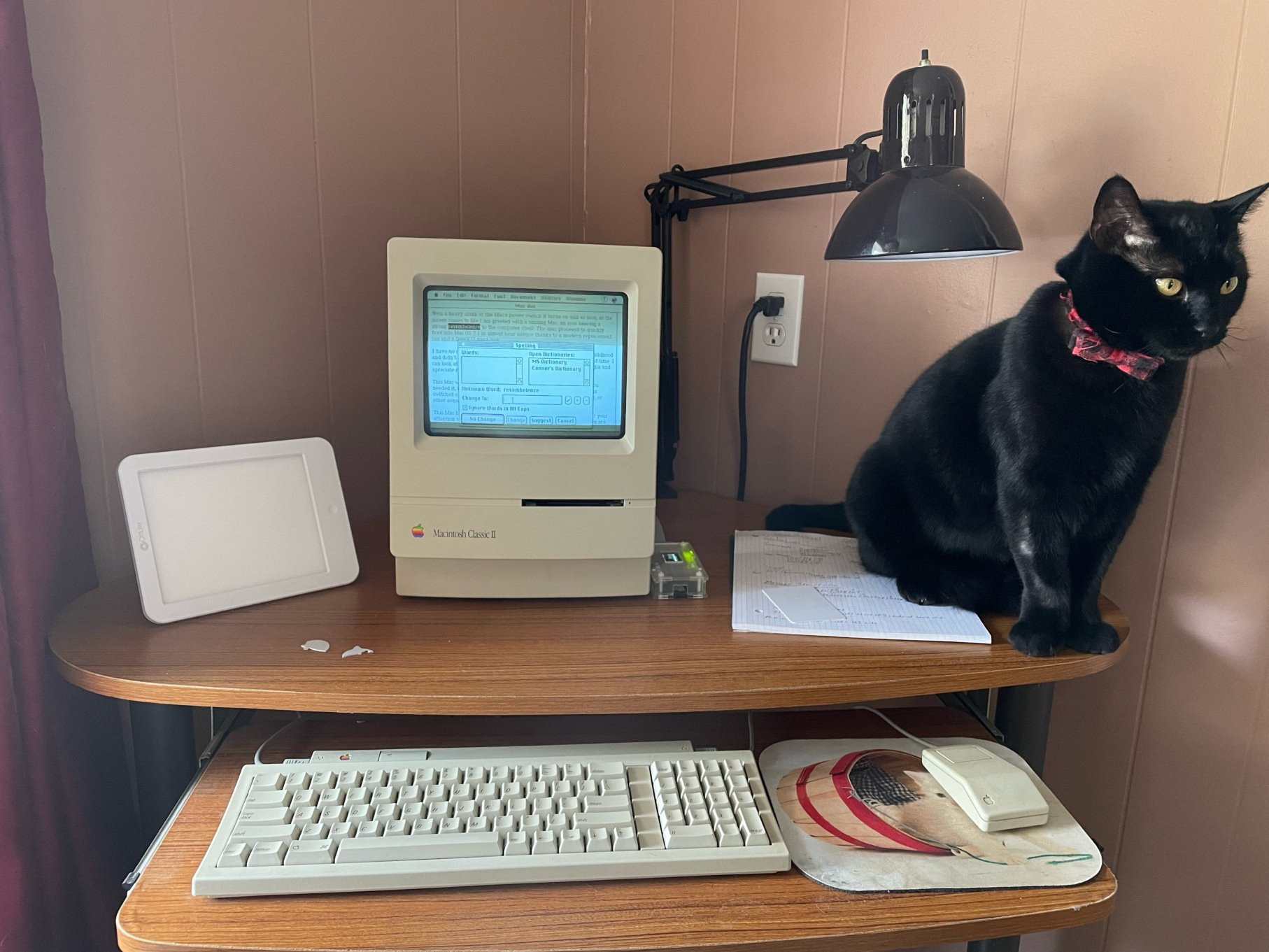 my-favourite-computer,-an-old-mac