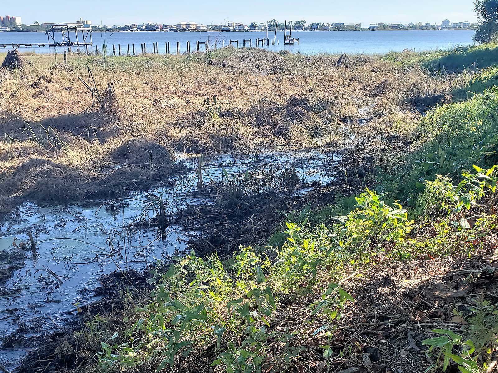 archaeologists-dig-up-1,400-year-old-native-american-canal-in-alabama