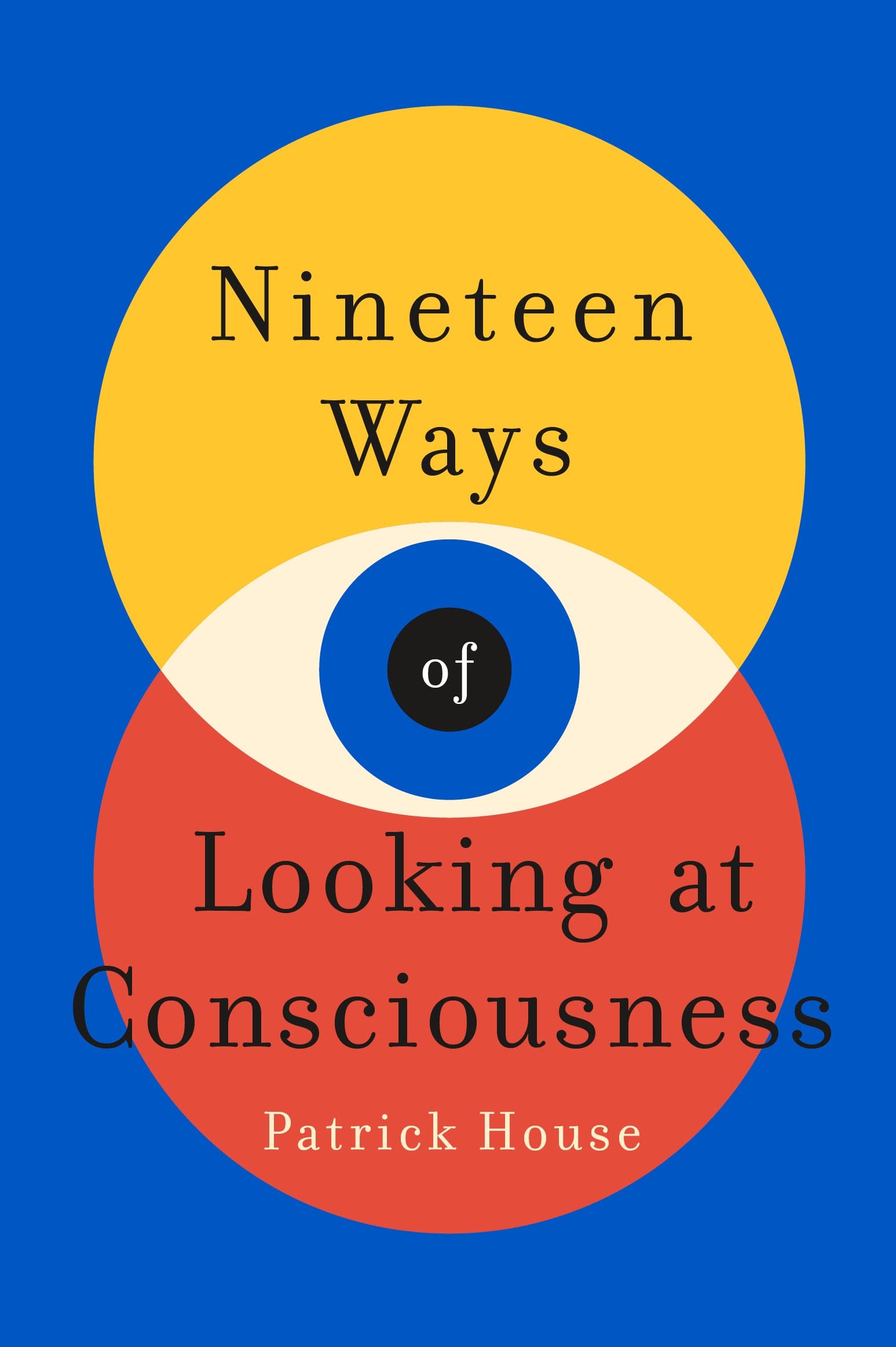 what-is-it-like-to-have-a-brain?-ways-of-looking-at-consciousness