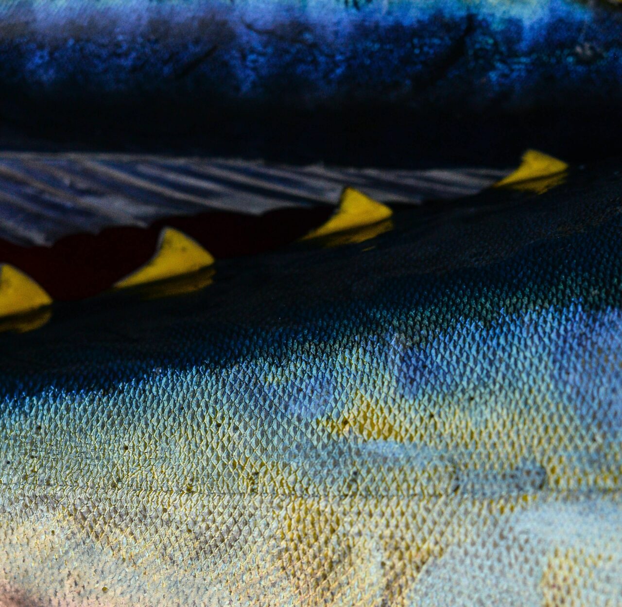 tuna