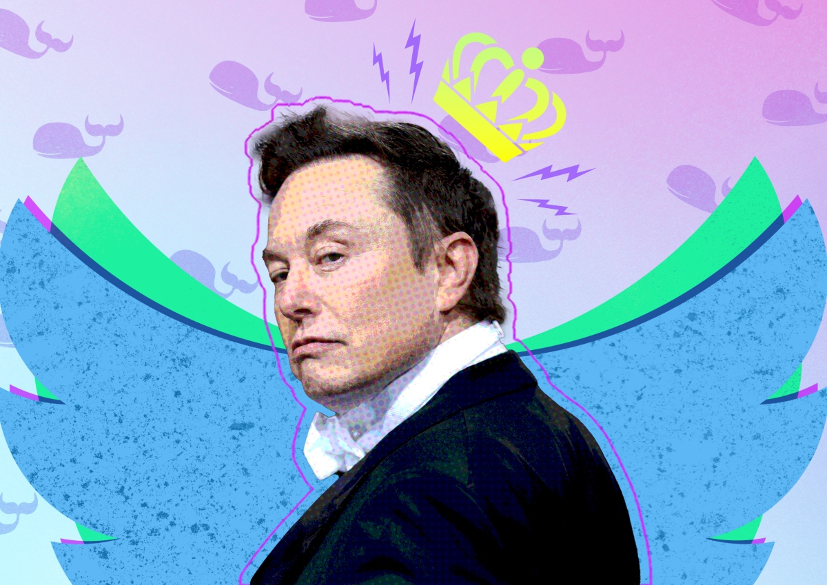 elon-musk-owns-twitter:-the-story-so-far
