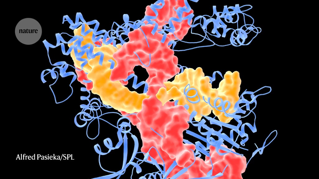 crispr-cancer-trial-success-paves-the-way-for-personalized-treatments