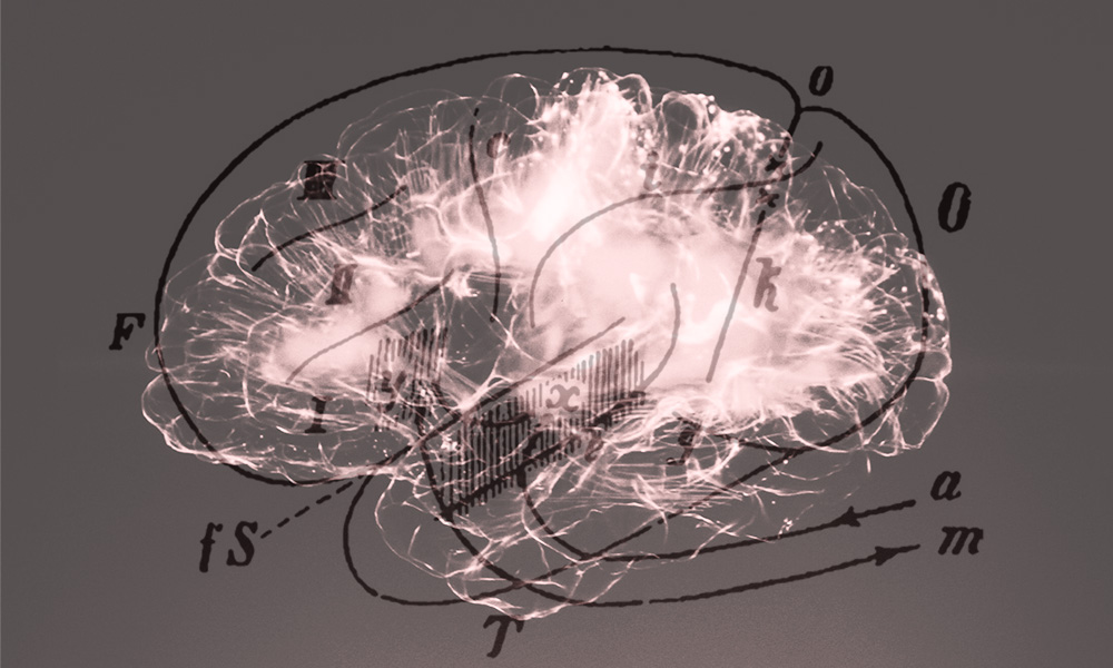 finding-language-in-the-brain