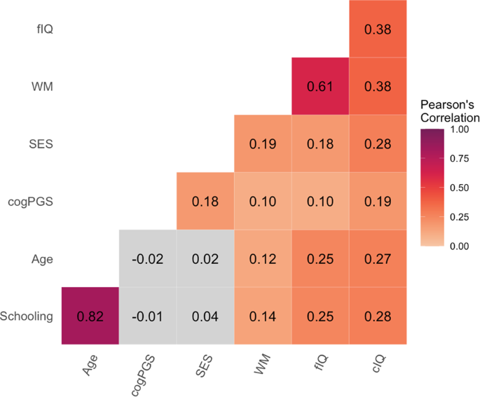 schooling-improves-intelligence,-socioeconomic/genetic-differences-not-affected