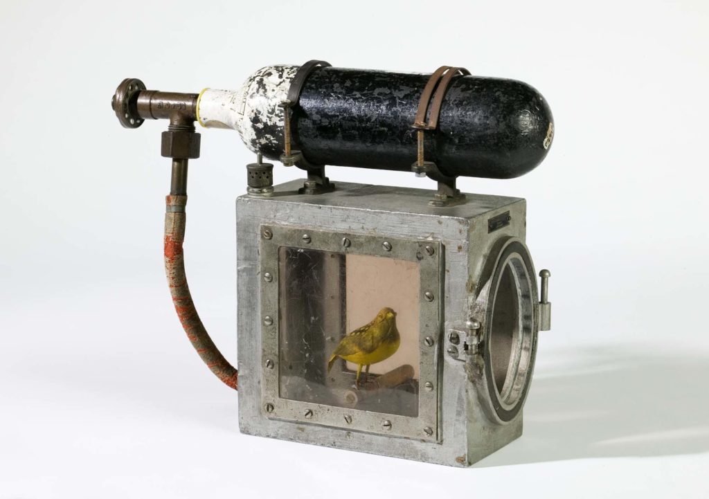 device-used-to-resuscitate-canaries-in-coal-mines-(2018)