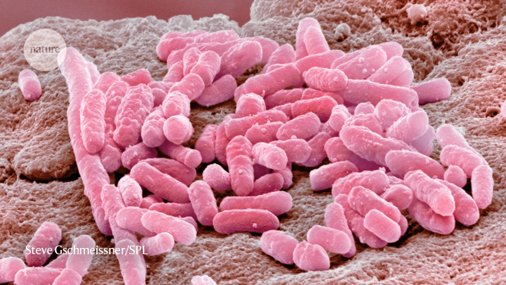 antidepressants-help-bacteria-resist-antibiotics