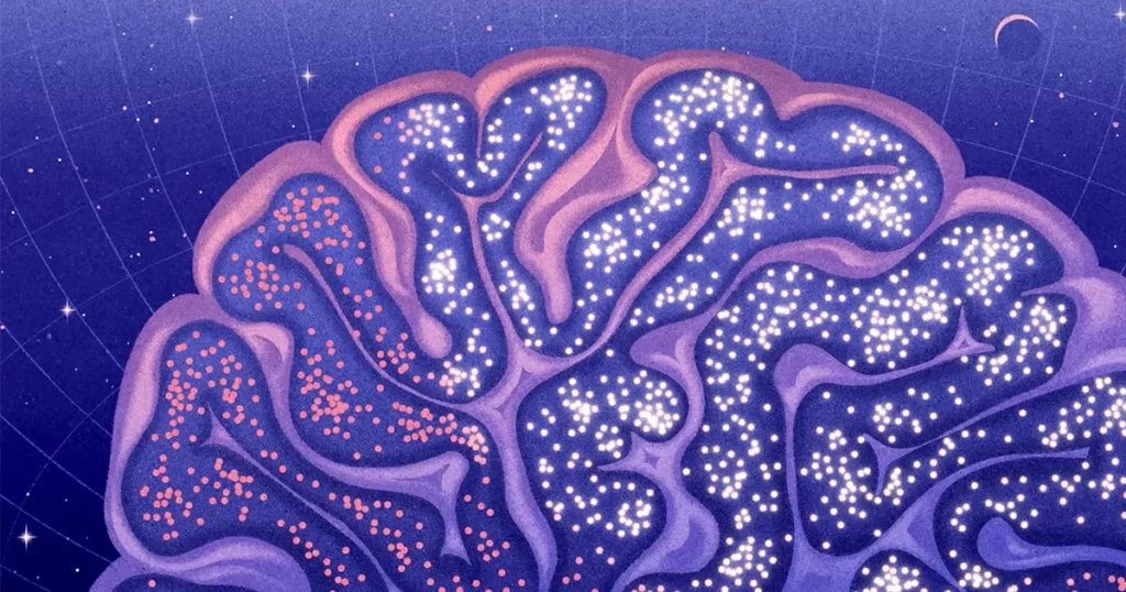 critical-brain-hypothesis:-a-physical-theory-for-when-the-brain-performs-best
