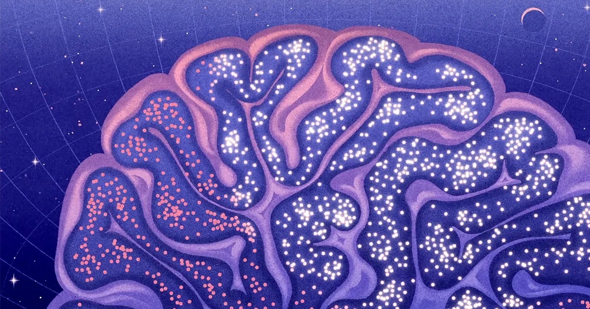 critical-brain-hypothesis:-a-physical-theory-for-when-the-brain-performs-best