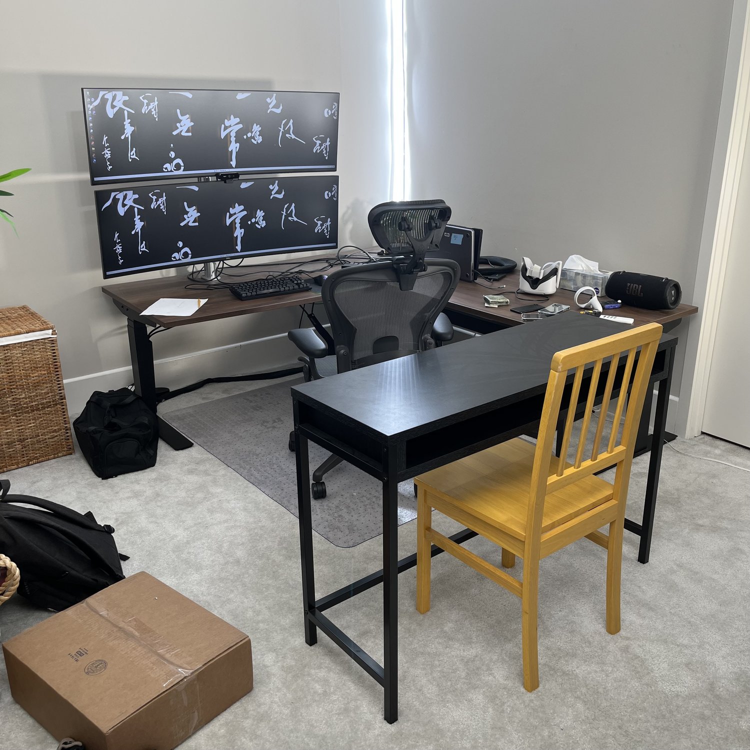 i-hired-5-people-to-sit-behind-me-and-make-me-productive-for-a-month