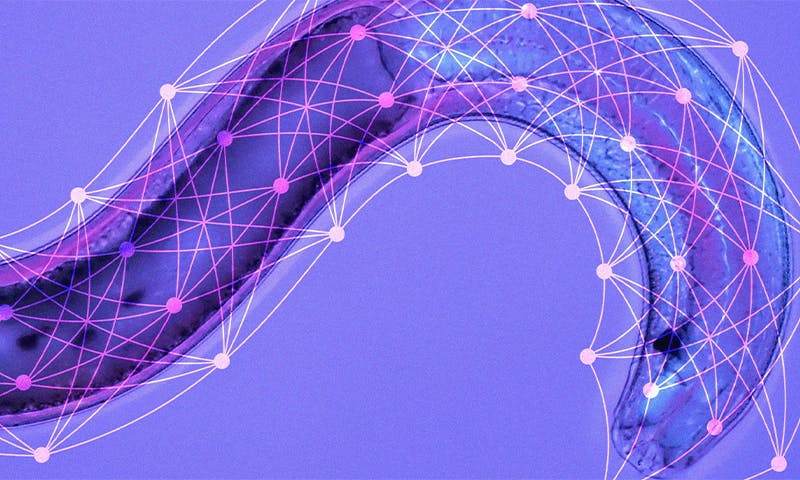 researchers-discover-a-more-flexible-approach-to-machine-learning