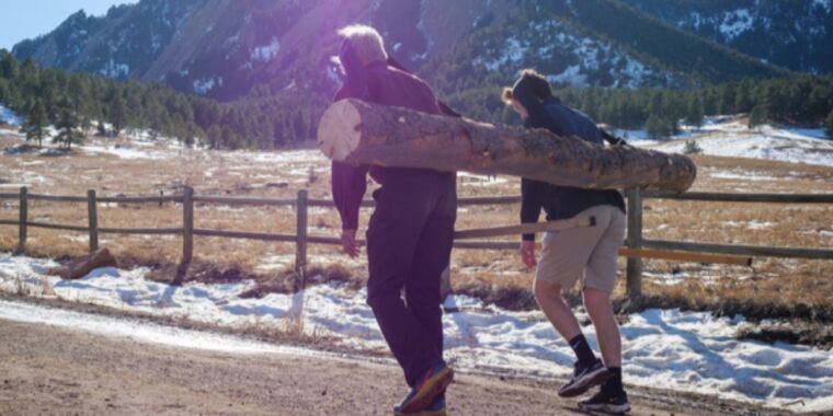 scientists-lugged-logs-on-their-heads-to-resolve-chaco-canyon-mystery