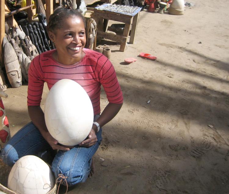 ancient-eggshells-unlock-discovery-of-extinct-elephant-bird-lineage
