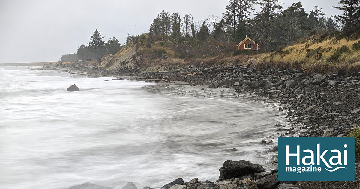 an-experimental-beach-barrier-could-be-key-to-rebuilding-eroding-coastlines