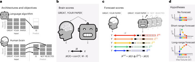 evidence-of-a-predictive-coding-hierarchy-in-the-human-brain-listening-to-speech