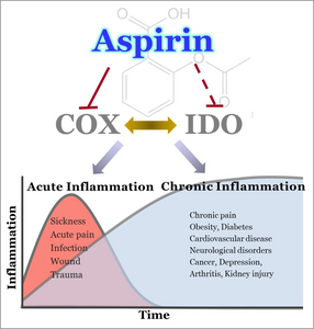 scientists-discover-why-aspirin-works-so-well