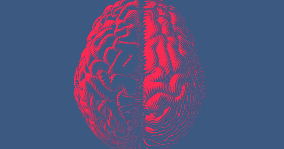 americans’-iq-scores-are-lower-in-some-areas,-higher-in-one