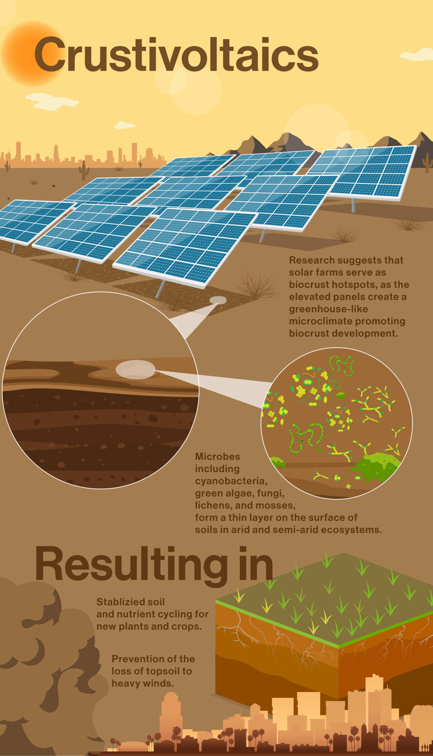 using-solar-farms-to-generate-fresh-desert-soil-crust