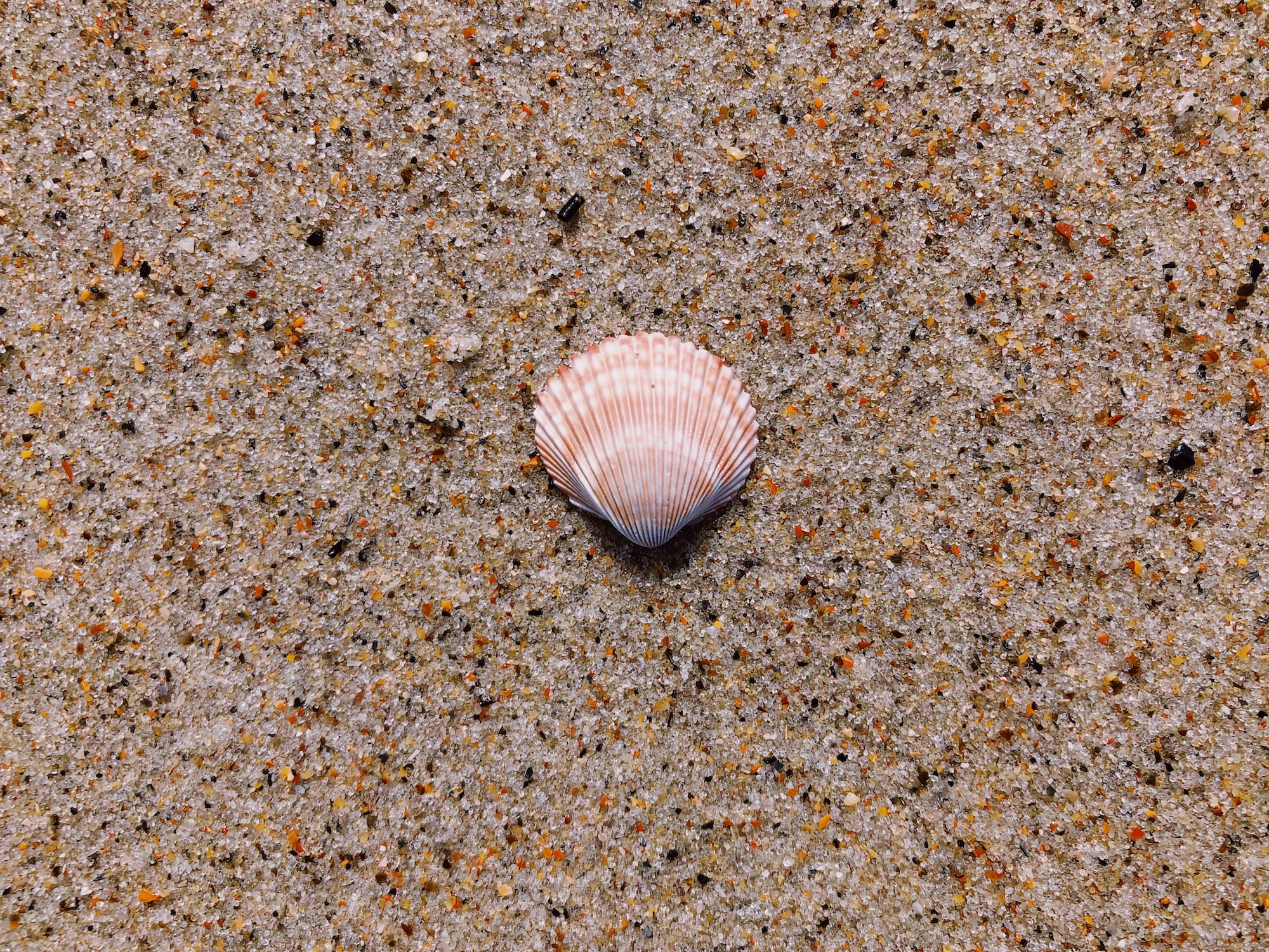 my-ultimate-shell-setup-with-fish-shell-and-tmux-(2021)
