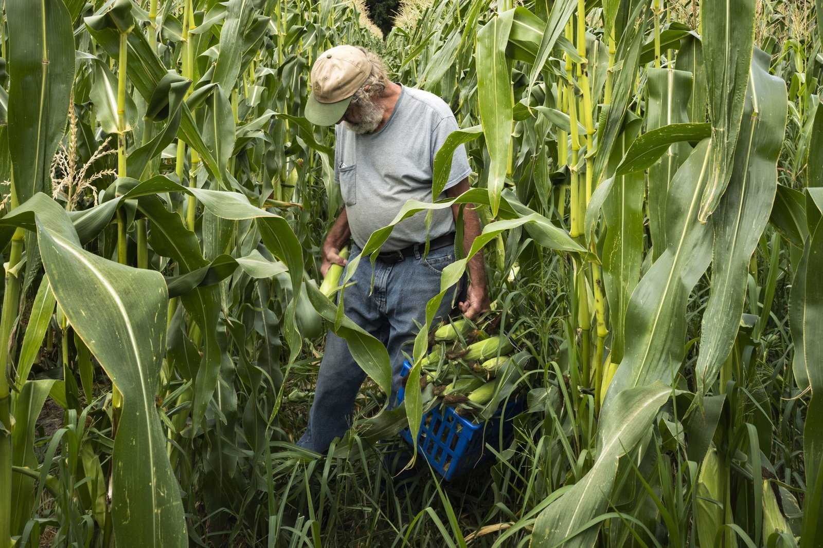 the-last-days-of-a-350-year-old-family-farm