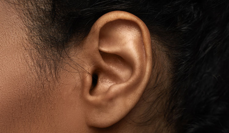 scientists-regenerate-hair-cells-that-enable-hearing