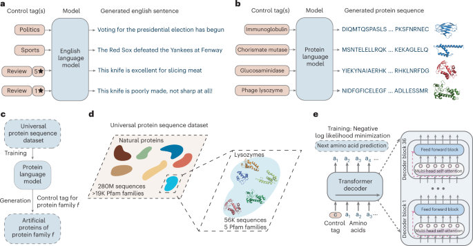 large-language-models-generate-functional-protein-sequences-across-families