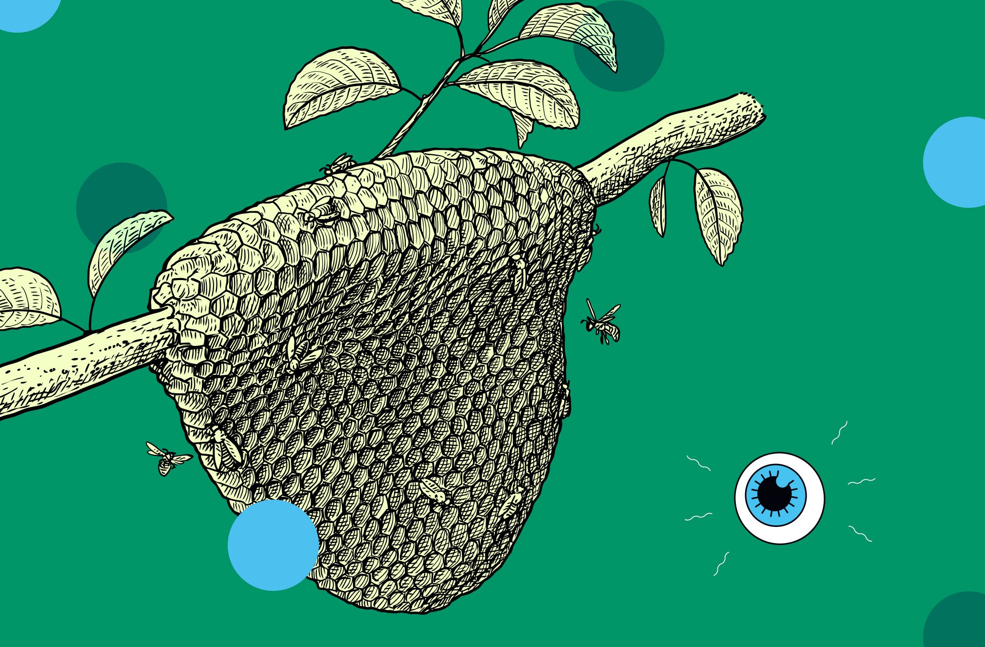how-we-learned-that-bees-can-tell-time-(2021)