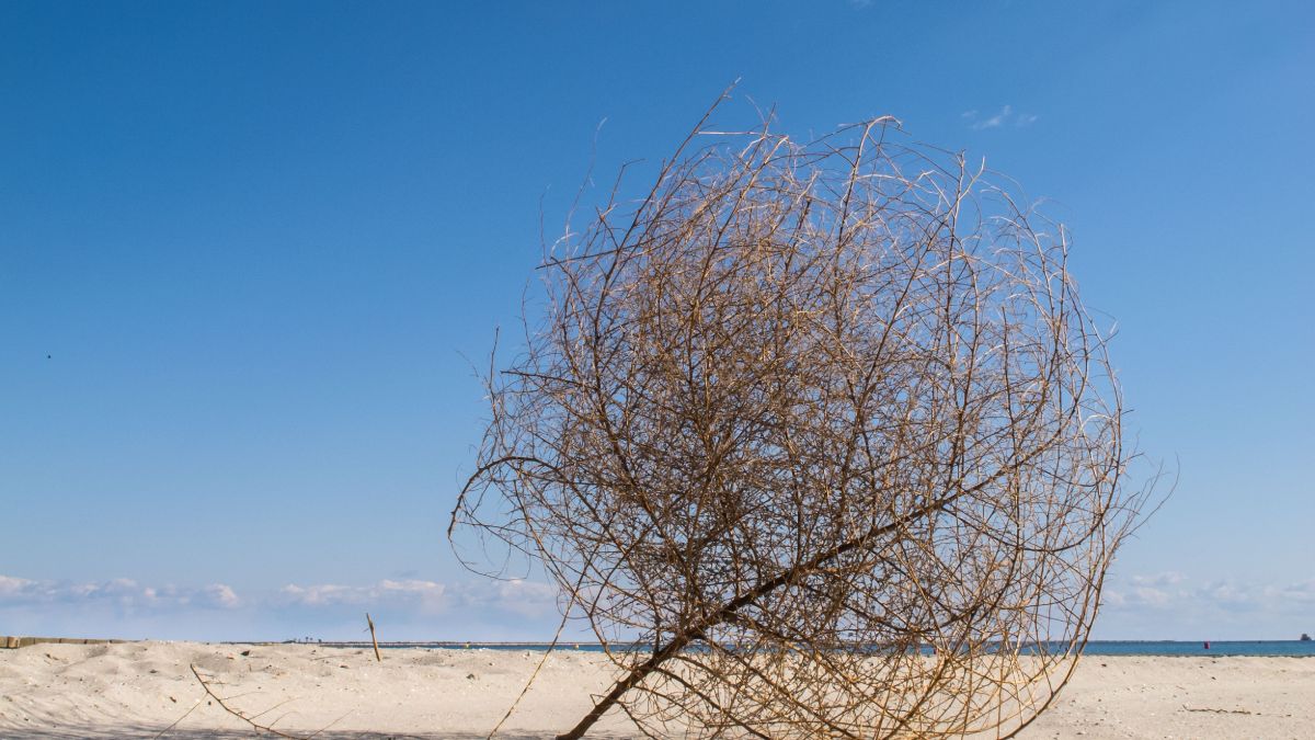 the-reddit-blackout-has-left-google-barren-and-full-of-holes-–-techradar