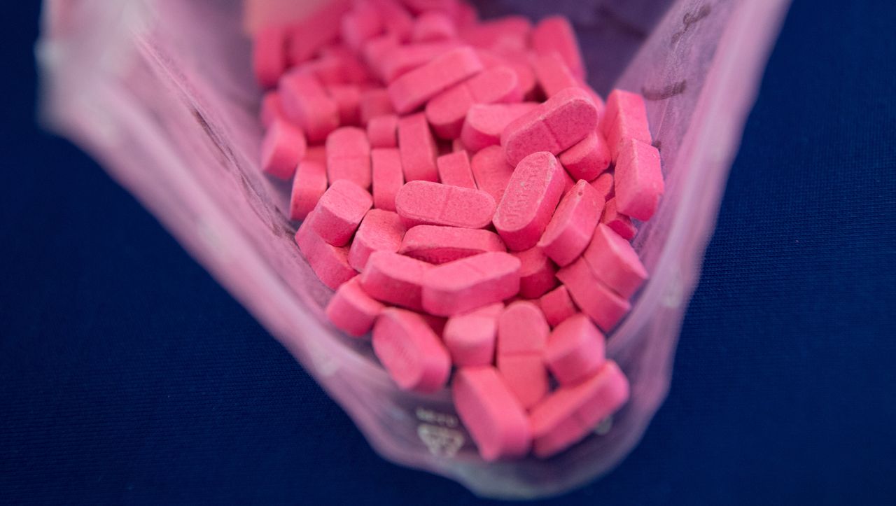 germany-wants-to-legalize-quality-control-of-illegal-drugs