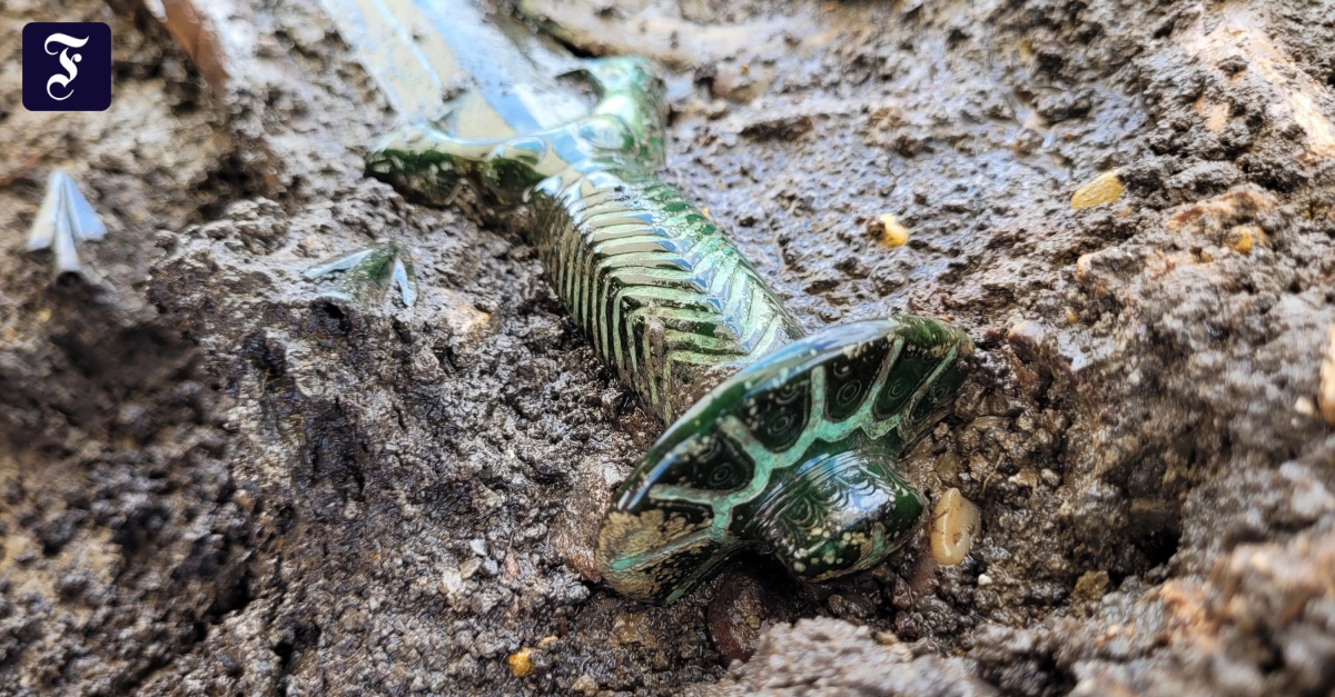 archaeologists-find-3000-year-old-sword,-exceptionally-well-preserved